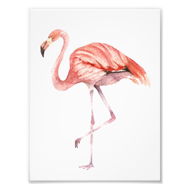 Pink Flamingo Fotodruck (Vorne)