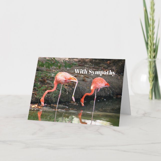 Pink Flamingo Pair Wildlife Foto Beileid Karte (Vorderseite)