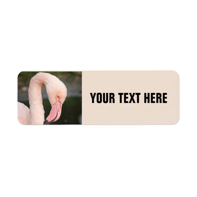 PINK FLAMINGO PERSONALISIERTE RÜCKSENDEADRESSEN-AU (Vorne)