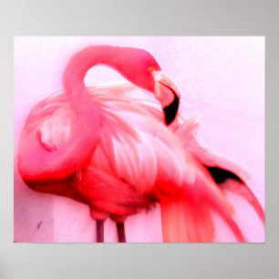 Pink Flamingo Poster