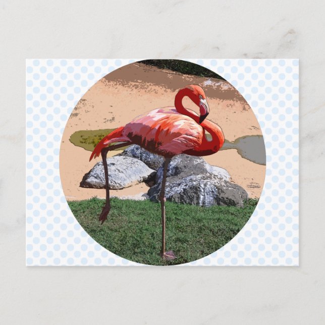 Pink Flamingo Postkarte (Vorderseite)