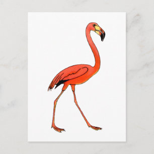 Pink Flamingo Postkarte