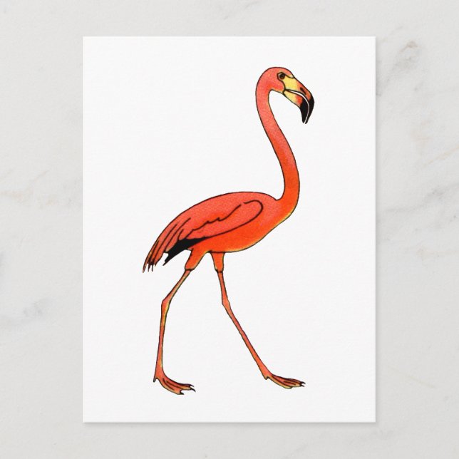 Pink Flamingo Postkarte (Vorderseite)