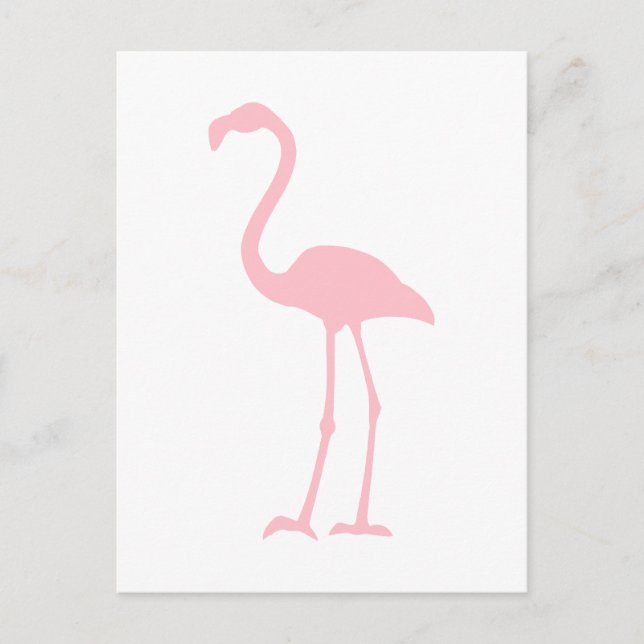 Pink Flamingo Postkarte (Vorderseite)