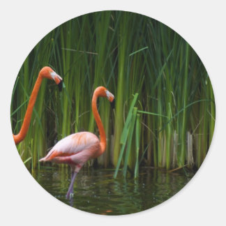 PINK FLAMINGO RUNDER AUFKLEBER
