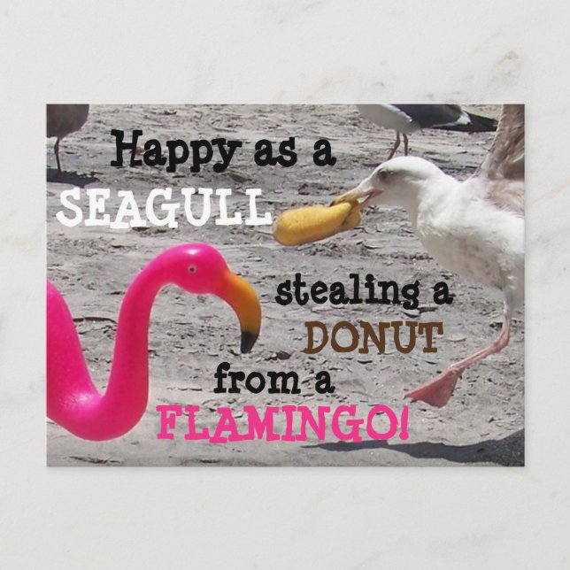 Pink Flamingo Seagull Donut Beach Spaß Postkarte (Vorderseite)