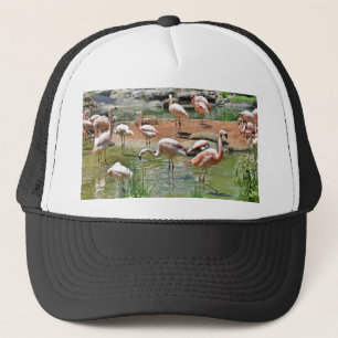 Pink Flamingo Truckerkappe
