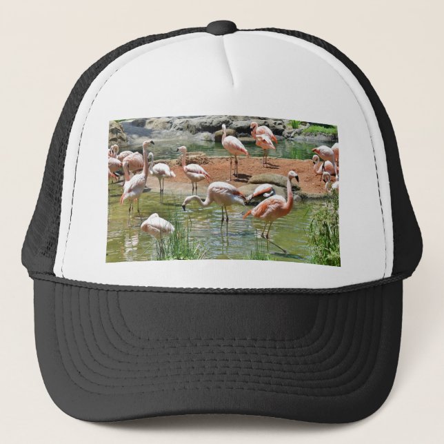 Pink Flamingo Truckerkappe (Vorderseite)