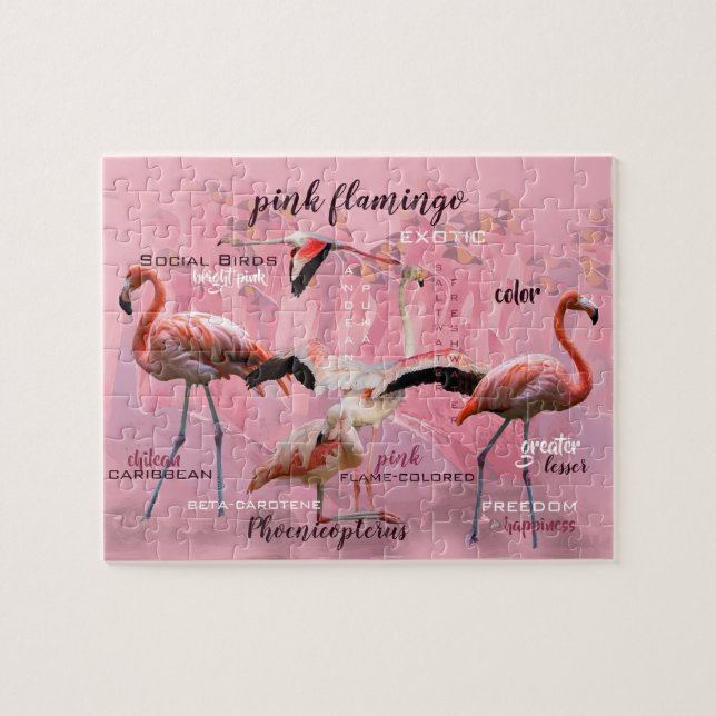 Pink Flamingo Typografie | Angepasst (Horizontal)