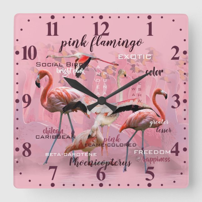 Pink Flamingo Typografie | Angepasst Quadratische Wanduhr (Vorderseite)