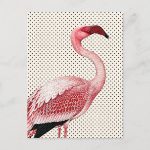 Pink Flamingo und Vintage Polka Dots Postkarte
