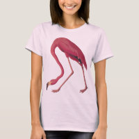 Pink Flamingo Women's T - Shirt