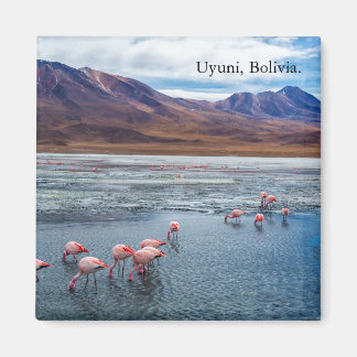 Pink Flamingoes in Bolivien Magnet