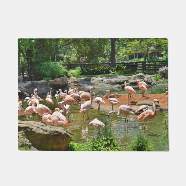 Pink Flamingos Door Mat Fußmatte (Vorderseite)