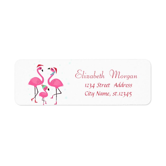 Pink Flamingos Familienurlaub Weihnachtsmannmütze (Vorne)