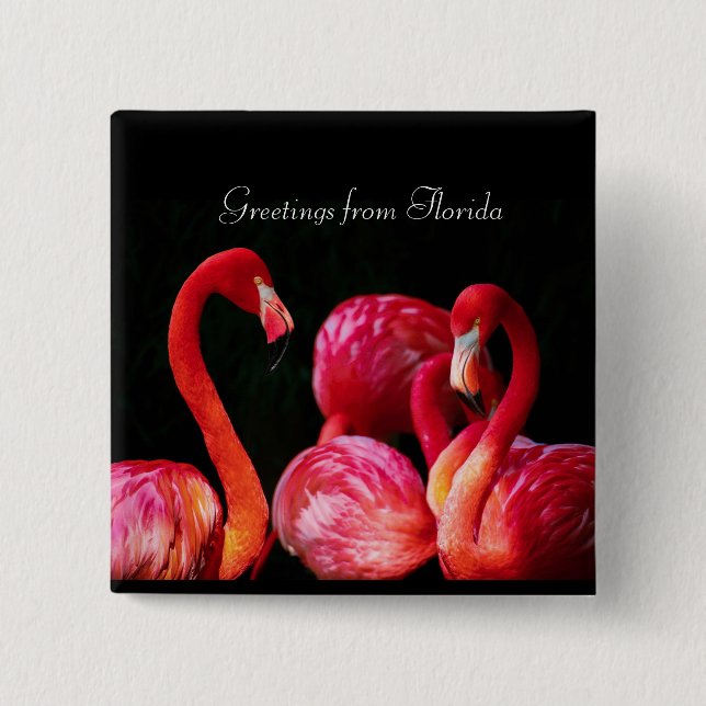 Pink Flamingo's Grüße aus Florida Button (Vorderseite)