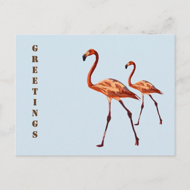 Pink Flamingos Grüße Postkarte (Vorderseite)