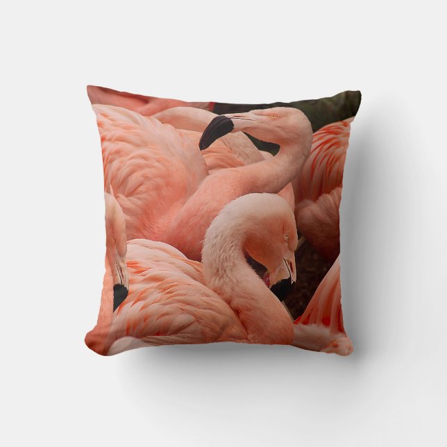 Pink Flamingos Kissen (Vorderseite)
