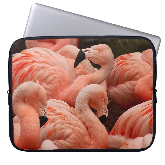 Pink Flamingos Laptopschutzhülle (Vorderseite)