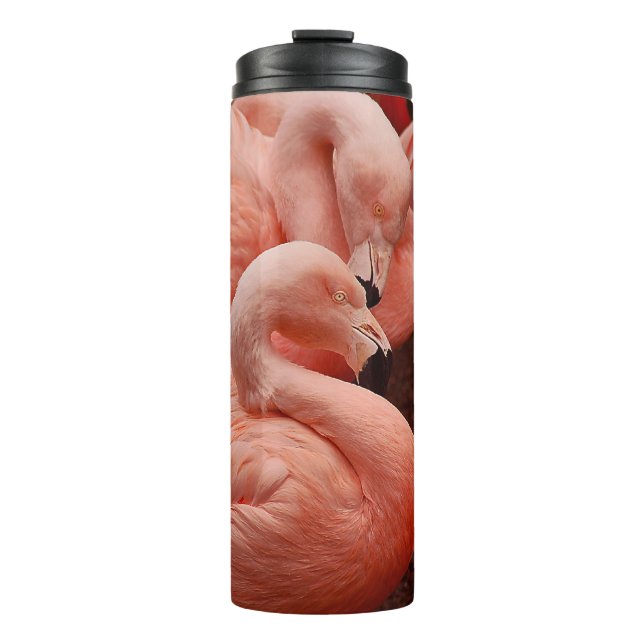 Pink Flamingos Thermosbecher (Vorderseite)