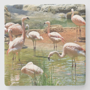 Pink Flamingos Untersetzer