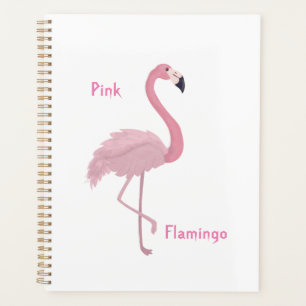 Pink Flamingp Planer