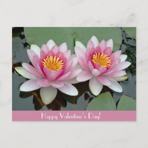 Pink Floating Waterlily LotusValentive's Day Card Feiertagspostkarte