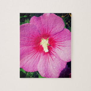 Pink Floral Botanische Fotografie