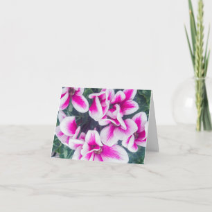 Pink Floral Cyclamen Fotonotecard Karte