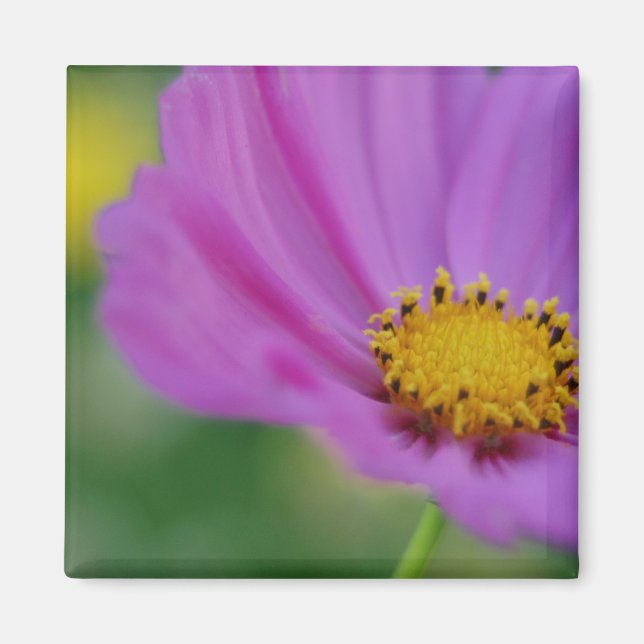 Pink Floral Magnet (Vorne)