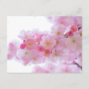Pink Floral Postkarte