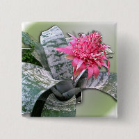 Pink Flower Bromeliad