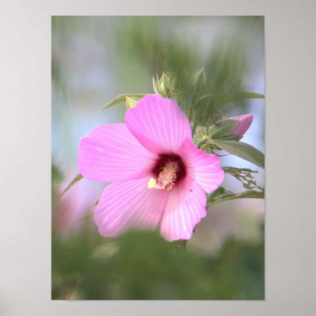 Pink Flower Photo Poster (Vorne)