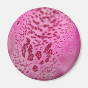 Pink Foxglove Petal Magnet