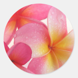 Pink Frangipani Runder Aufkleber