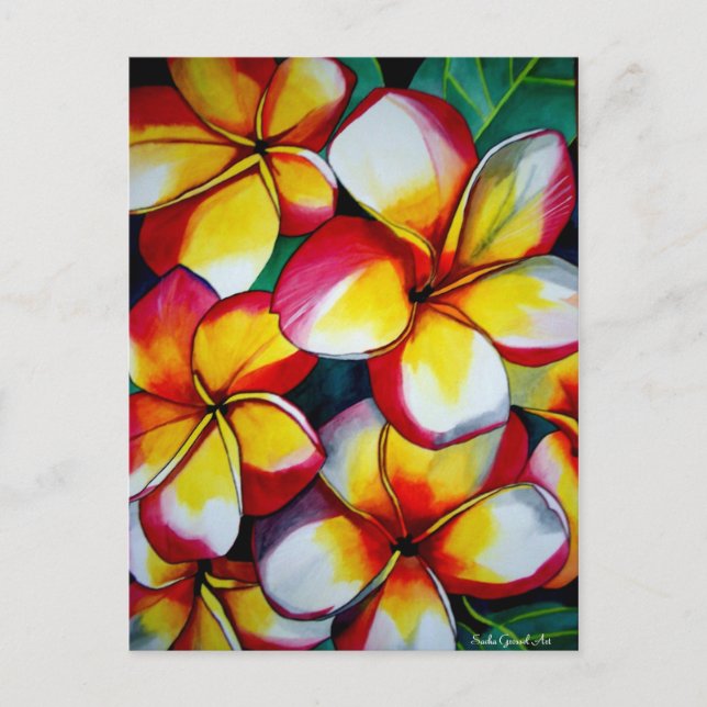 Pink Frangipanis Postkarte von Sacha Grossel Art (Vorderseite)