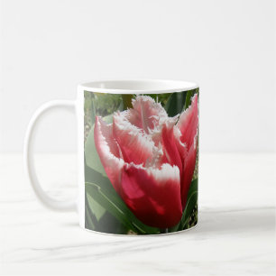 Pink Fringed Tulip Tasse