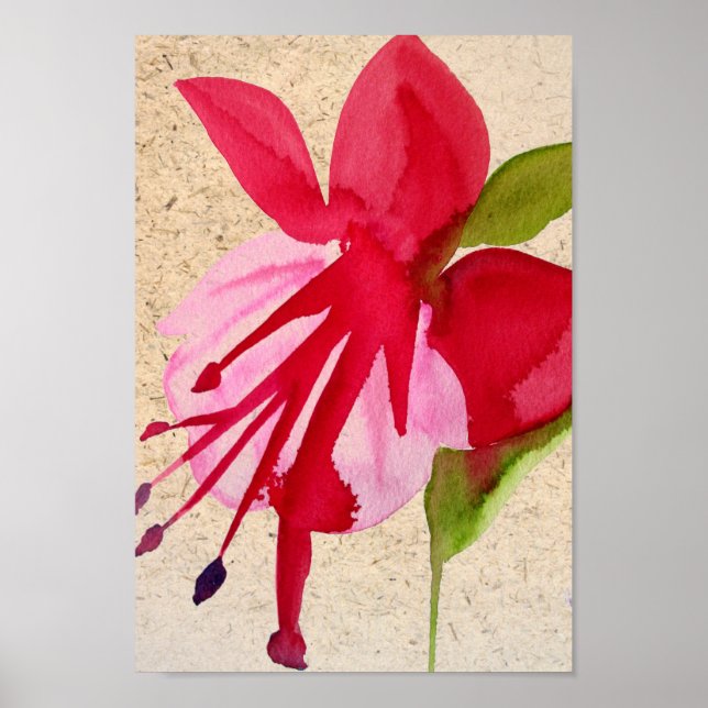 Pink Fuchsia Pop Kunst Aquarell Blume Poster (Vorne)