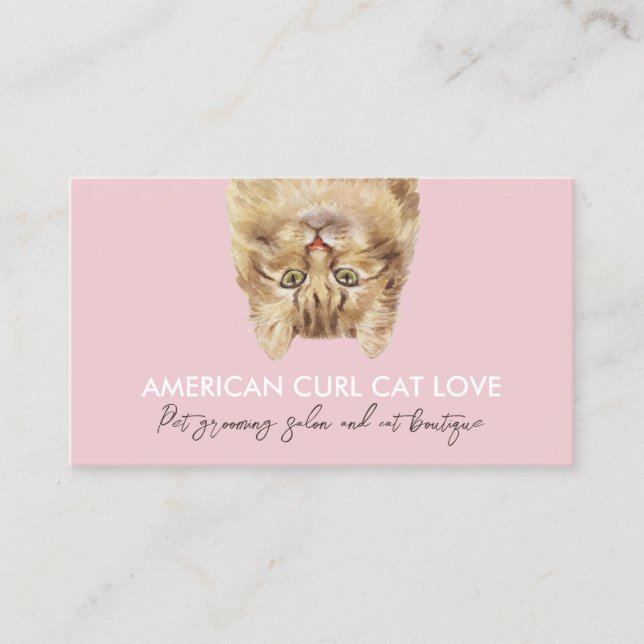 Pink Funny Pet Sitter American Curl Katze Visitenkarte (Vorderseite)