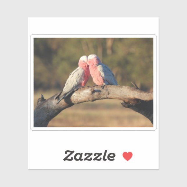 Pink Galahs Aufkleber (Blatt)