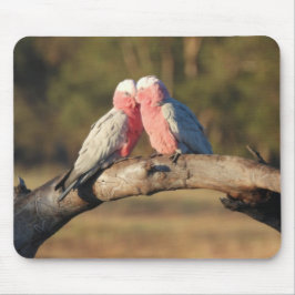 Pink Galahs Mousepad