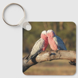 Pink Galahs Schlüsselanhänger