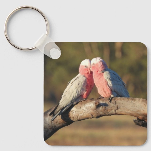 Pink Galahs Schlüsselanhänger (Vorderseite)