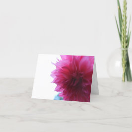 Pink Garden Dahlia Feiertagskarte