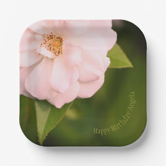 Pink Garden Rose Square Designer Papiere Teller (Vorderseite)