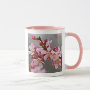 Pink gegen einen grauen Himmel Japanische Kirschbl Tasse