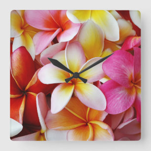 Pink-Gelb-Weiß-Mixed-Plumeria-Blume Quadratische Wanduhr