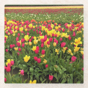 Pink & Gelbe Tulpen, Oregon Glasuntersetzer