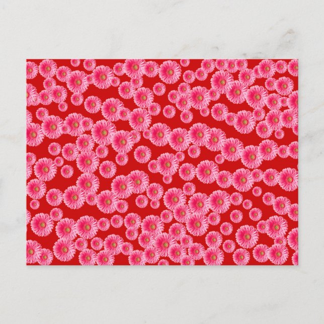 Pink Gerber Daisies Postkarte (Vorderseite)