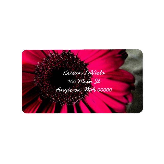 Pink Gerber Daisy Address Label Adressaufkleber (Vorne)